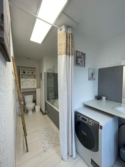 Appartement Chaleureux Au Calme Proche Du Chateau Mauleon Exteriör bild